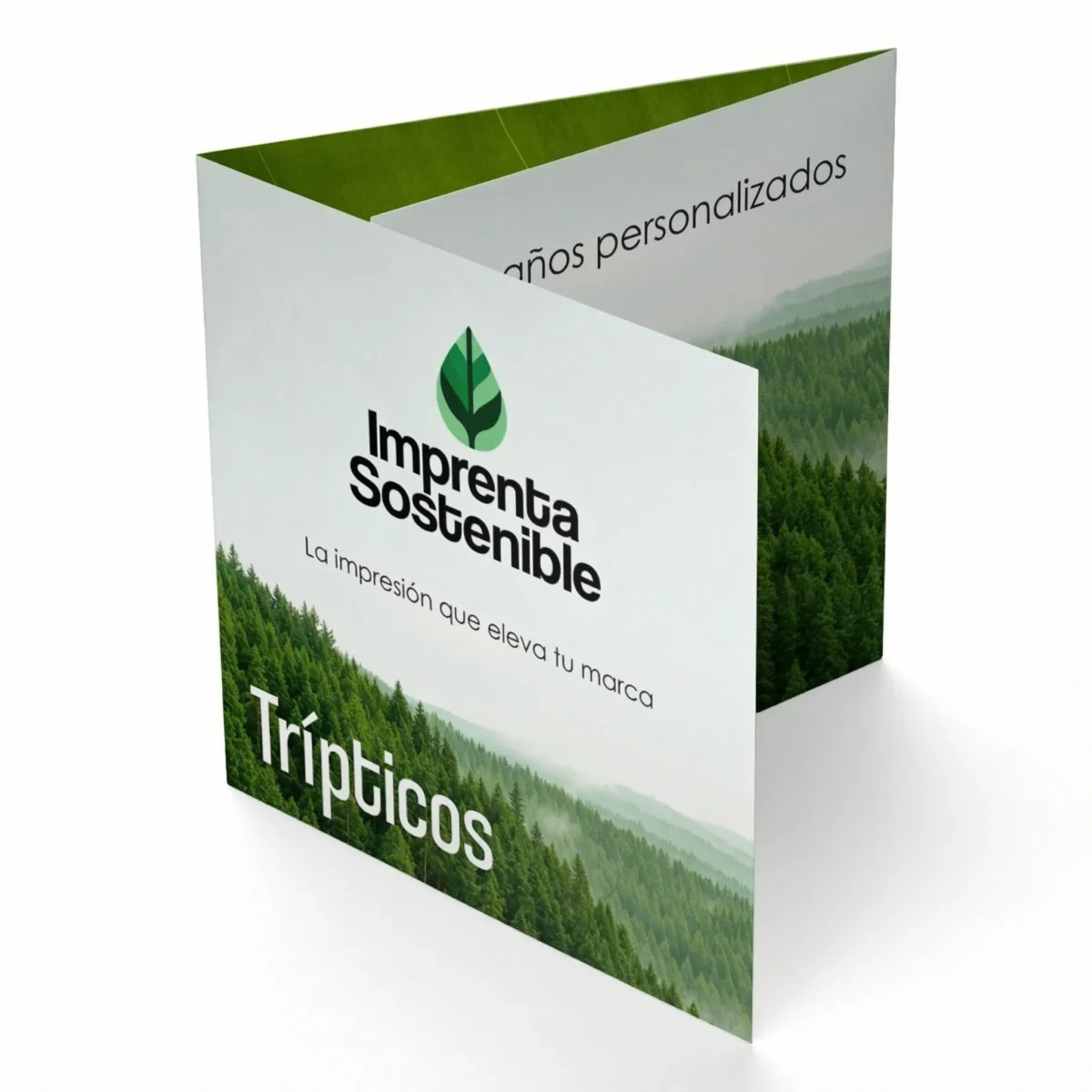 Folleto tríptico plegado en 3 para 6 caras visibles