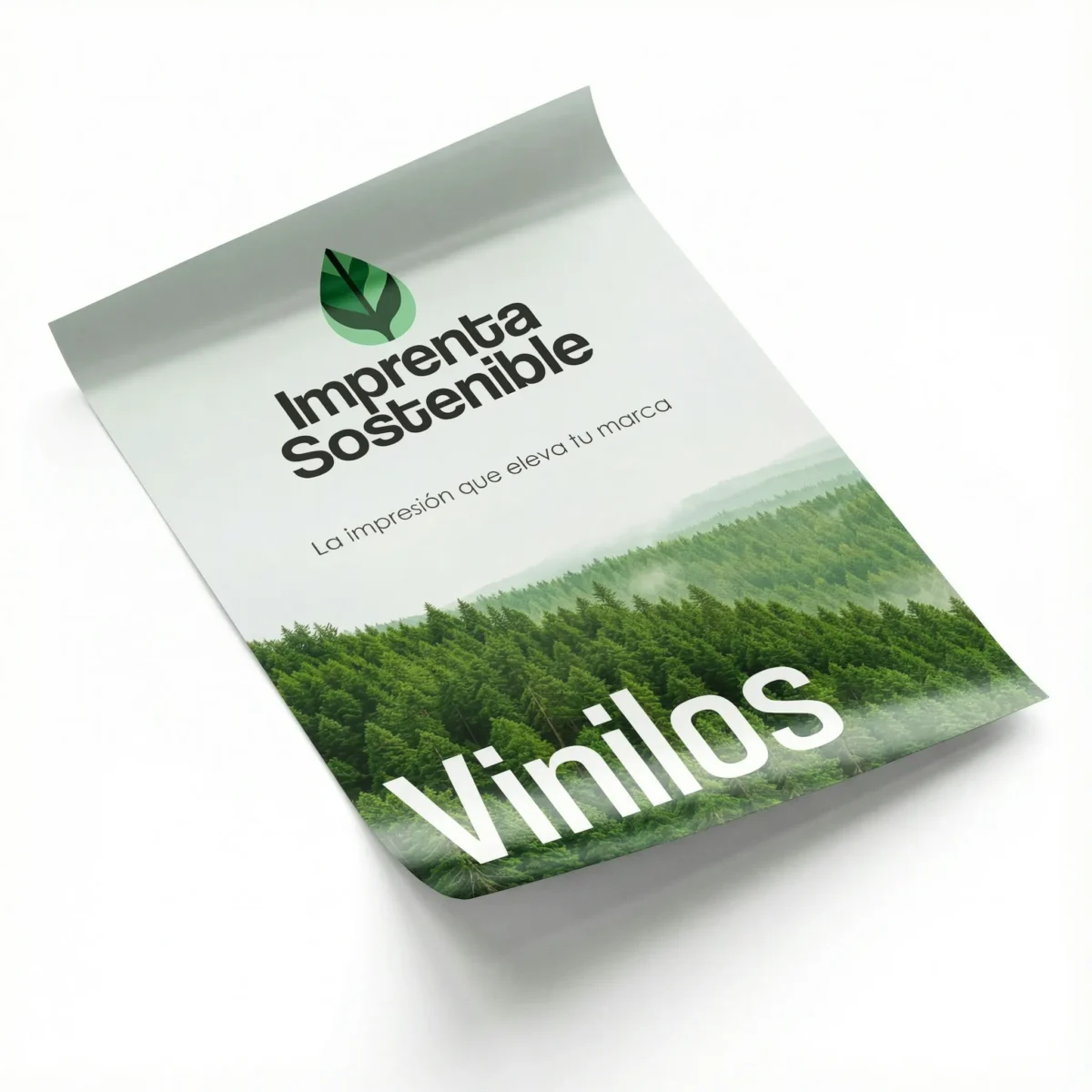 Carteles y pegatinas de vinilo para personalización