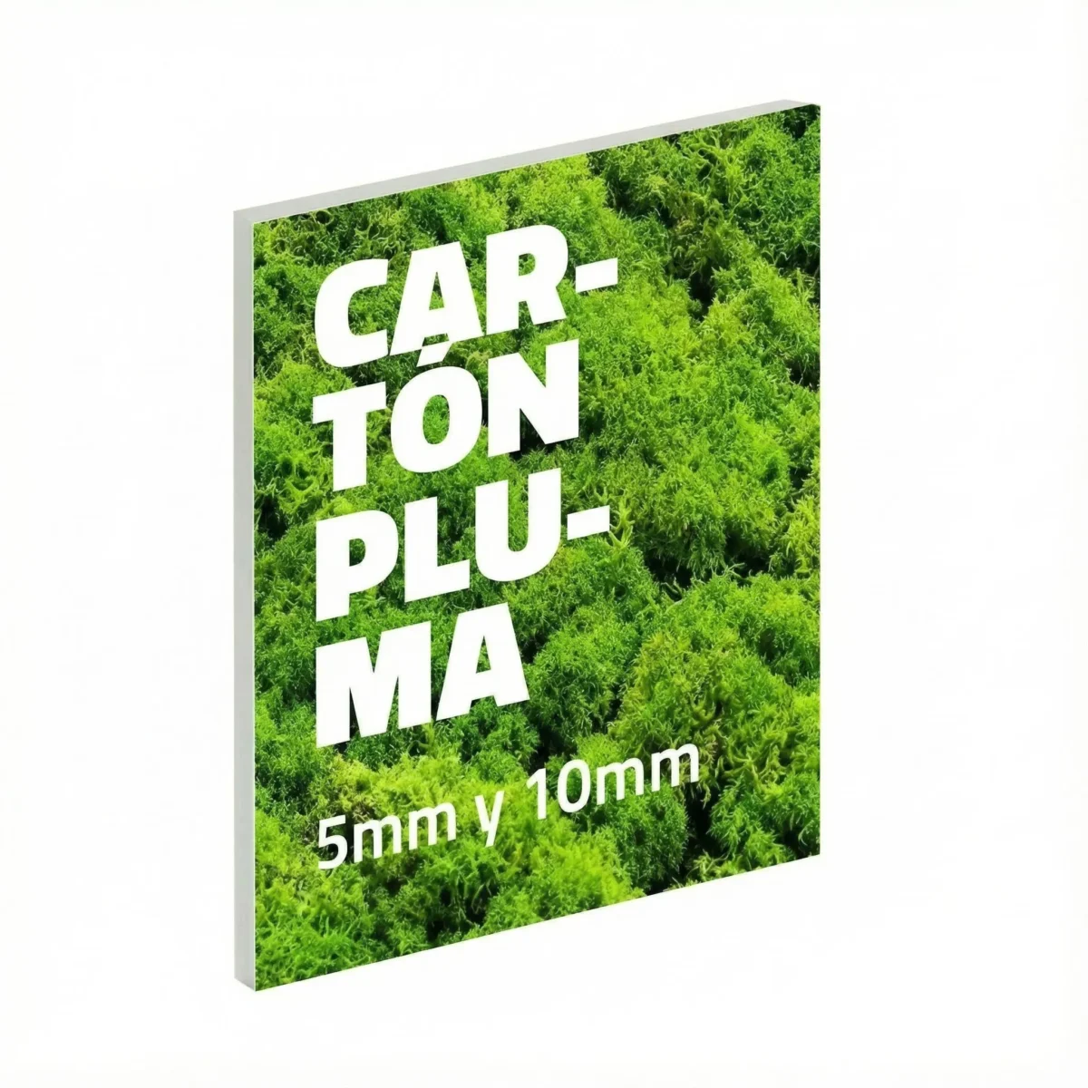 Anchura del Cartón pluma o Foam de imprenta sostenible